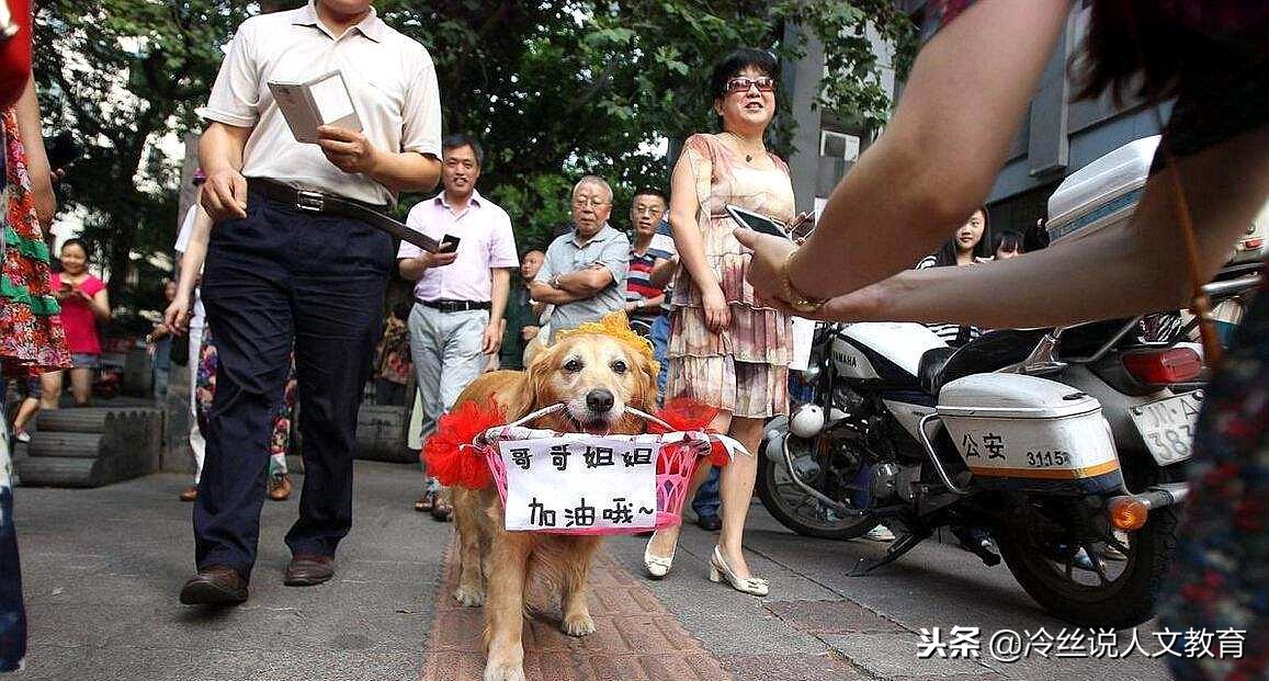 高考为何实行分省命题？第一次统一命题，哪三个省“全军覆没”？