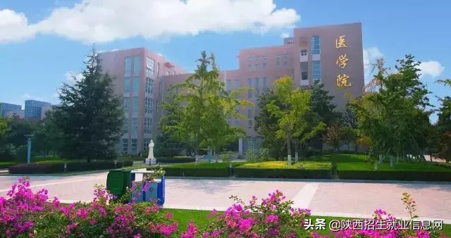 阳光正好丨多维度、高清图，带你一起了解咸阳职业技术学院