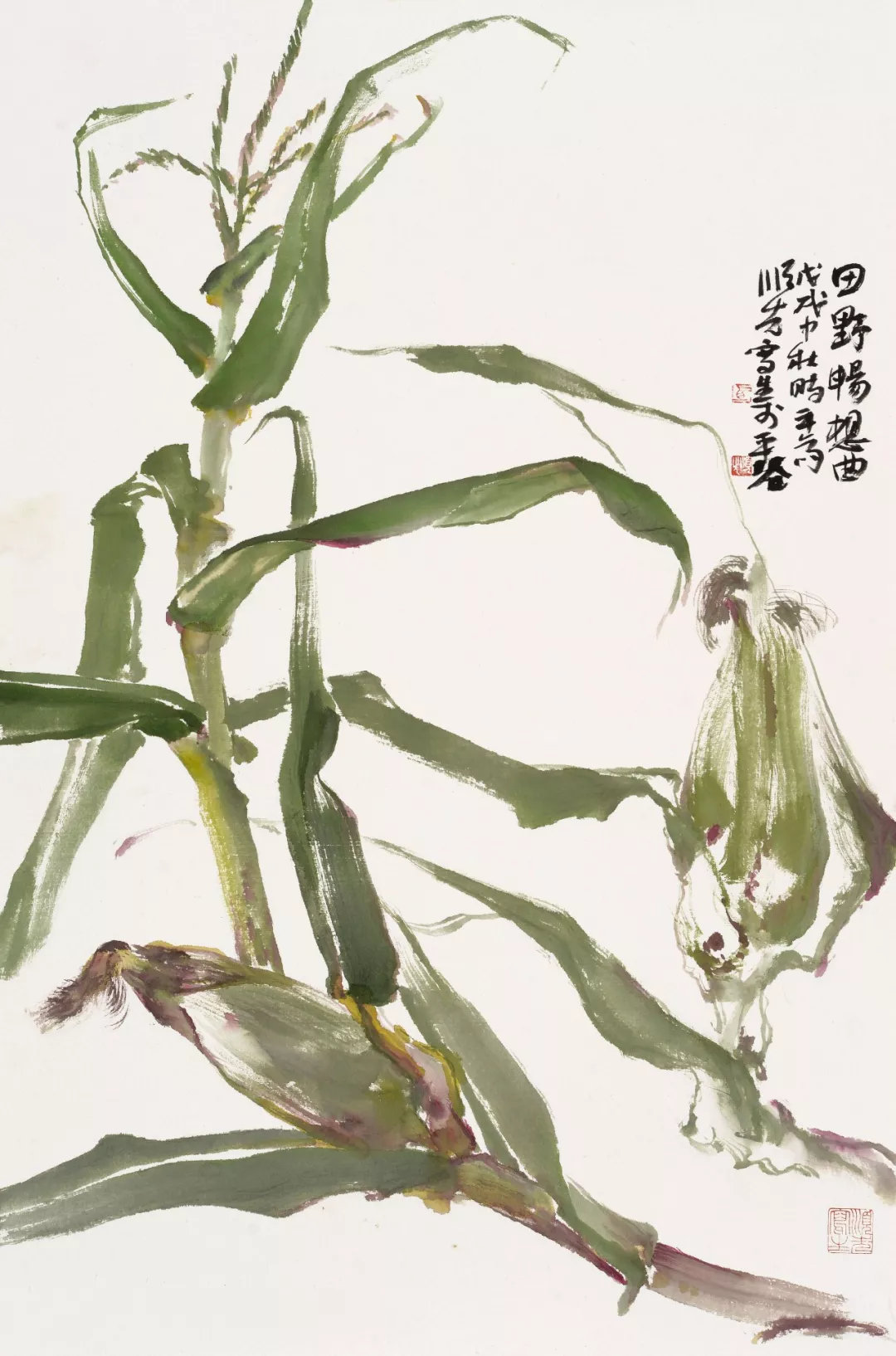 田野畅想曲 | 马顺先的玉米写生