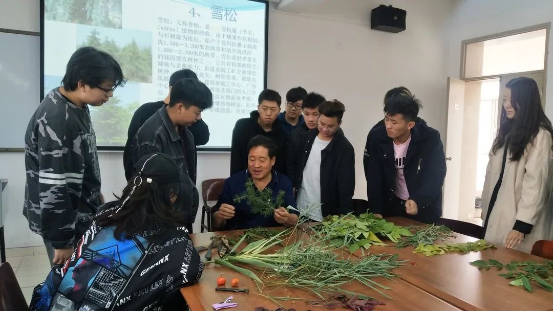 院系及专业介绍：艺术学院