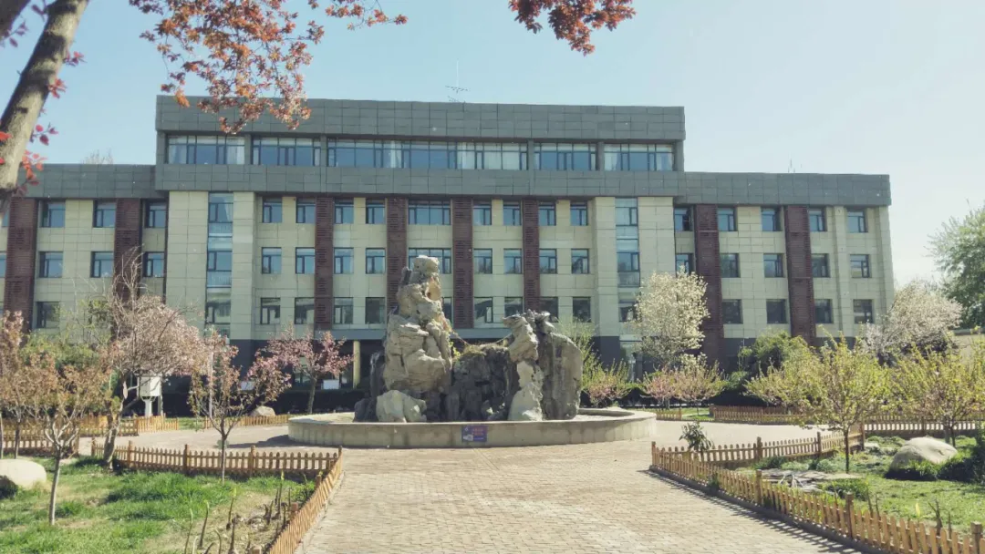 石家庄初中哪个更强？很难说清，请看这里