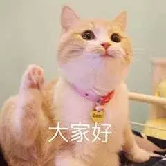 你还学不会抠图吗(抠图好学吗)