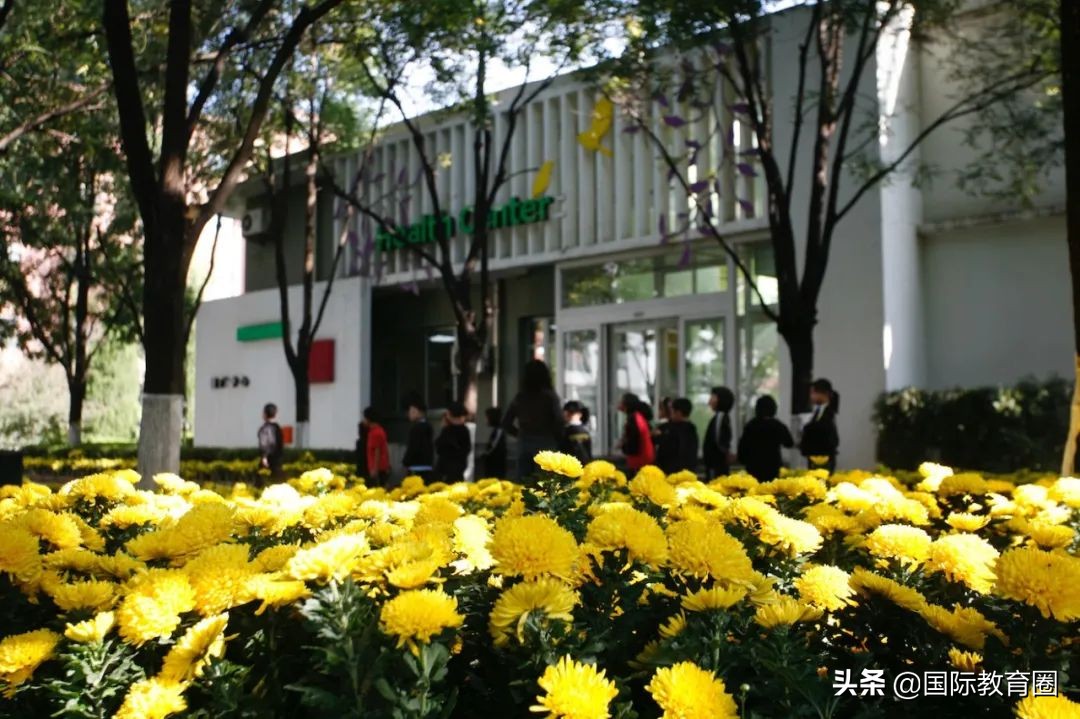 孙俪儿子在耀中、王菲女儿上德威......明星最喜欢哪些国际学校？