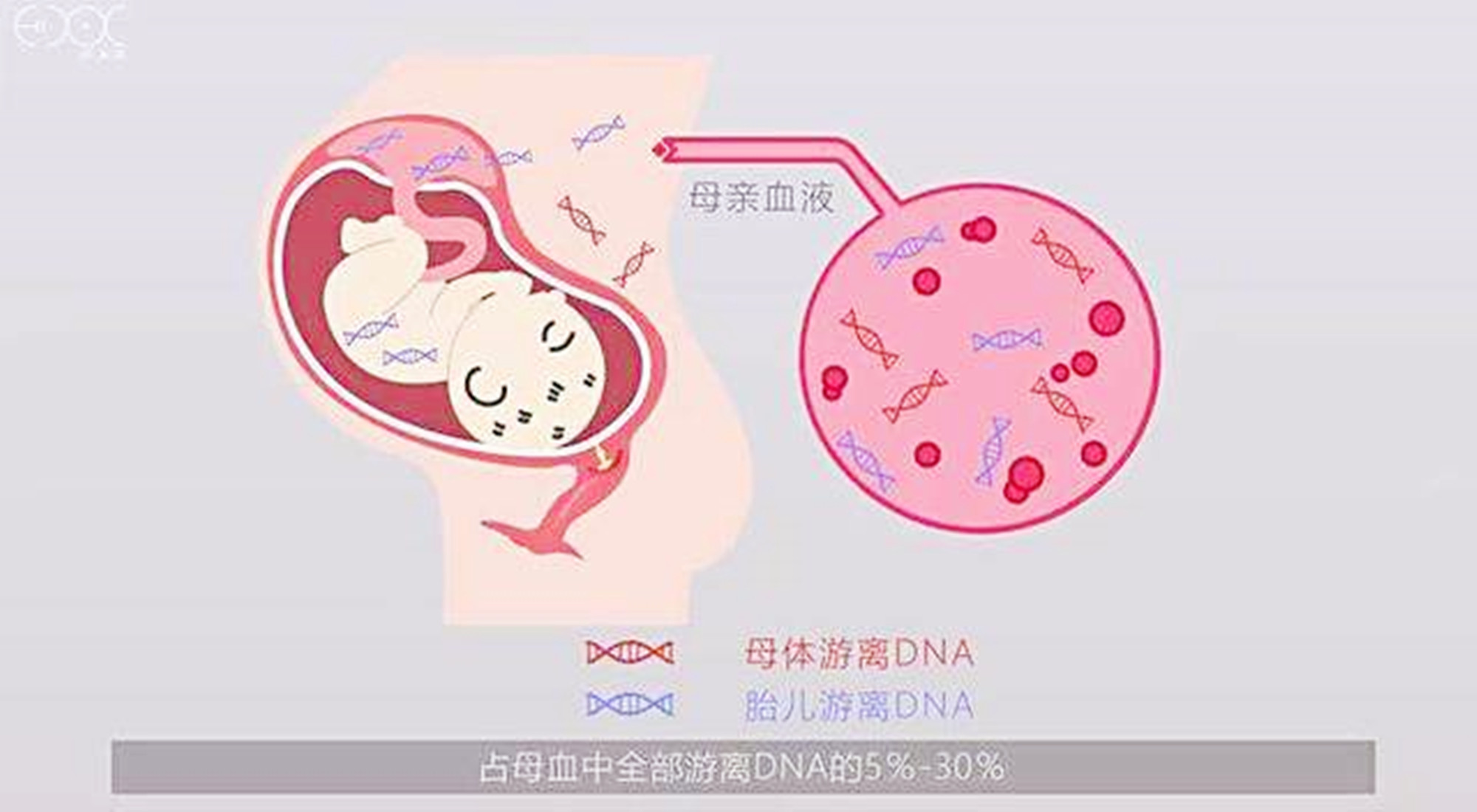 无创和羊穿为了多收钱？孕妈别被无知言论迷惑，这项检查很有必要