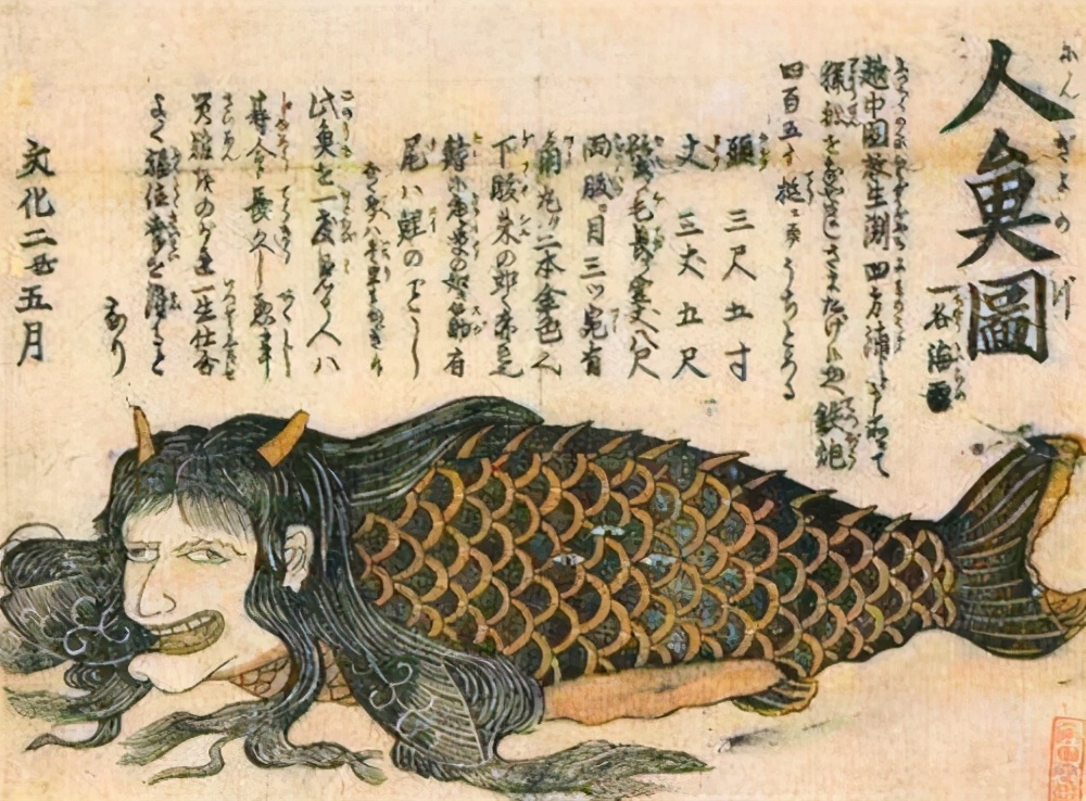 儒艮为什么叫美人鱼(古籍中记载的"美人鱼"是什么?