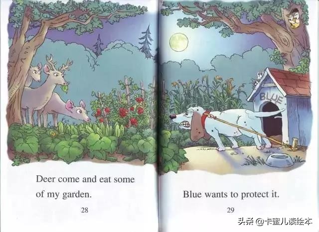 英文有声绘本故事《A Green,Green Garden》绿油油的花园
