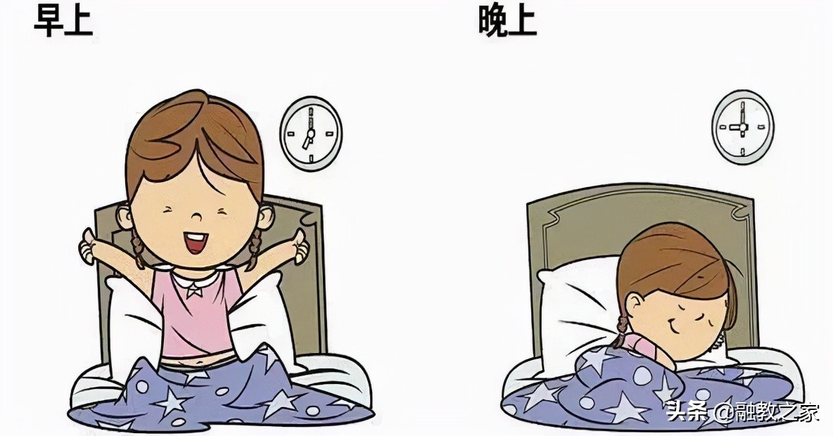 哪个不为人知的职业，叫做特殊教育生活老师