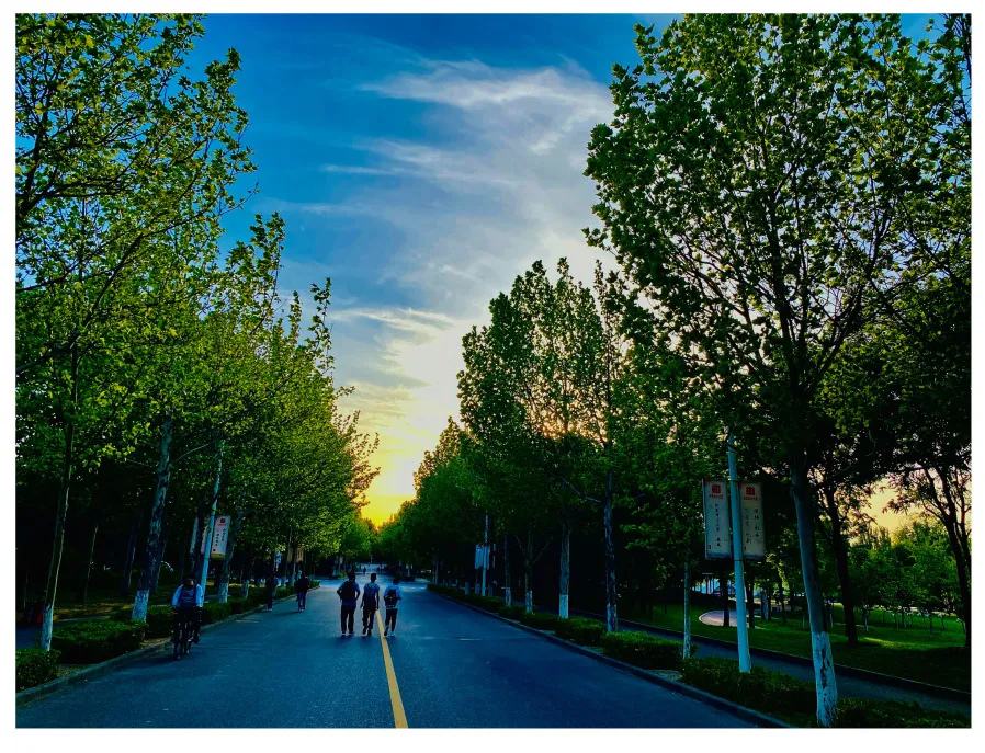 陕师大附中的6年求学经历,让我受益终身