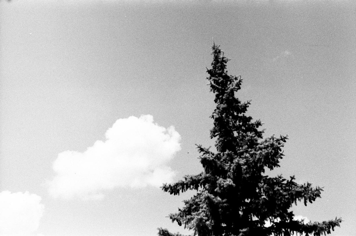 海南专升本大学语文-话题作文怎样拿高分？