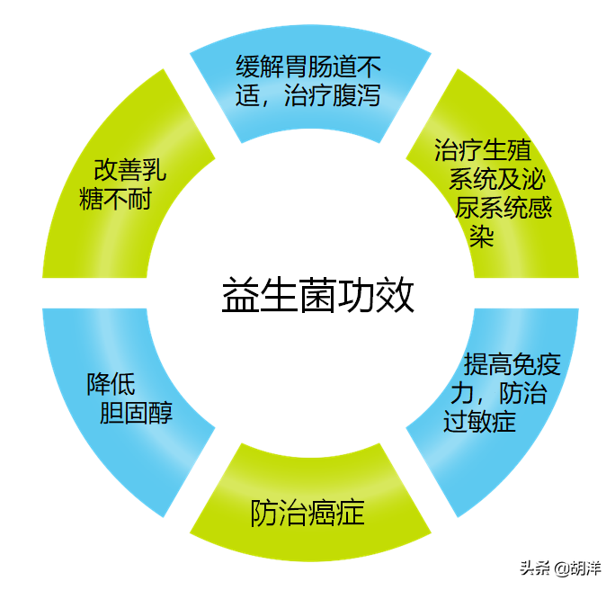 调节肠道菌群，保障身体健康，这一环节你弄懂了吗？