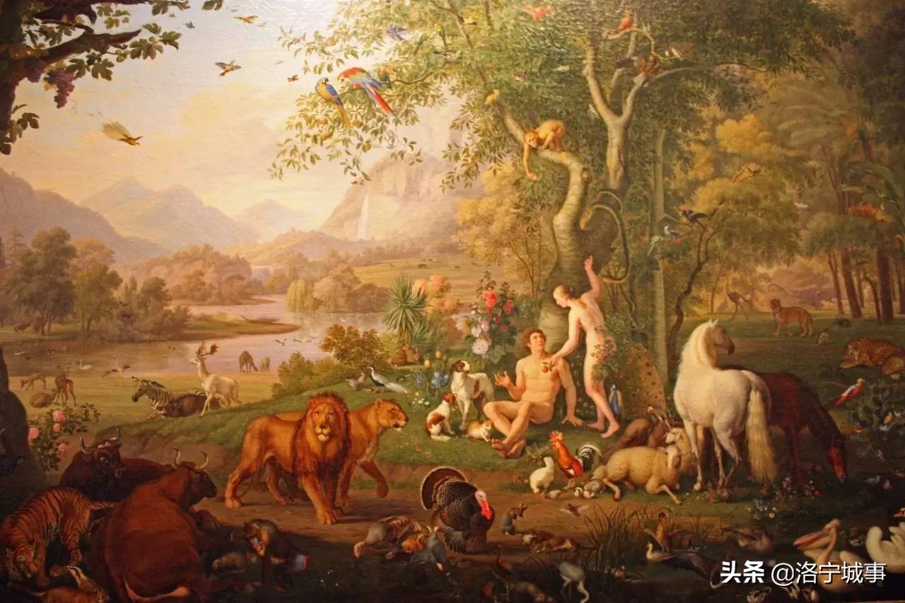 河南洛宁杨建涛：对《物种起源》的几点看法