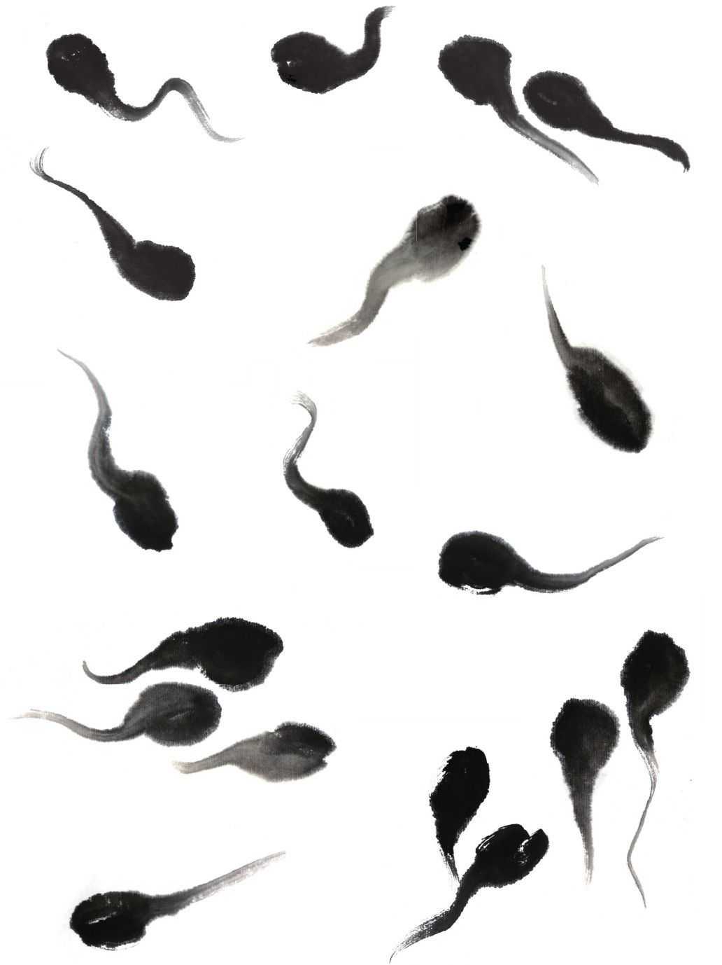 小蝌蚪怎么画(蝌蚪的基本画法) - seo葵花宝典