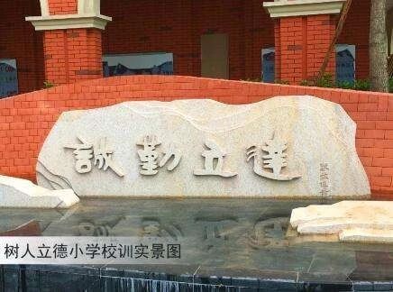 一年学费20万，在重庆上个小学也太贵了吧！看完数据你就知道了