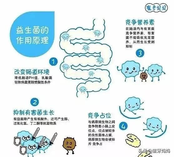 益生菌吃不吃?怎么吃?关于益生菌,一篇全知道