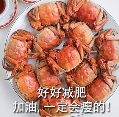 美食减肥表情包合集｜好好减肥，加油，一定会瘦的