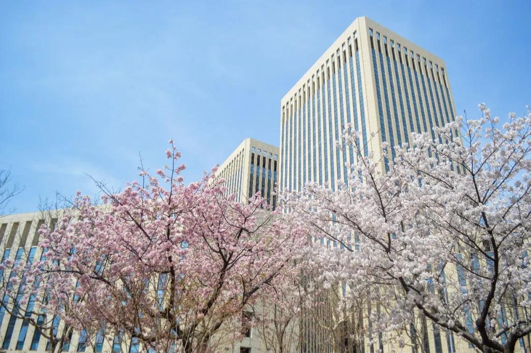 高清曝光！坐拥神仙颜值，山东最美“校花”就在这所大学里！