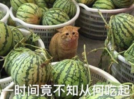 追星底线又刷新了！郝富申深陷“嫂子风云”，一夜多了十几任女友