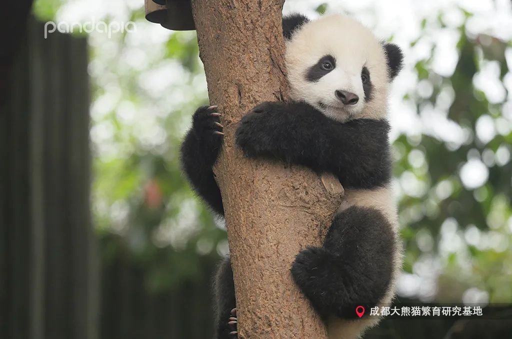 搬家朋友去送什么（朋友搬新家送点什么好）