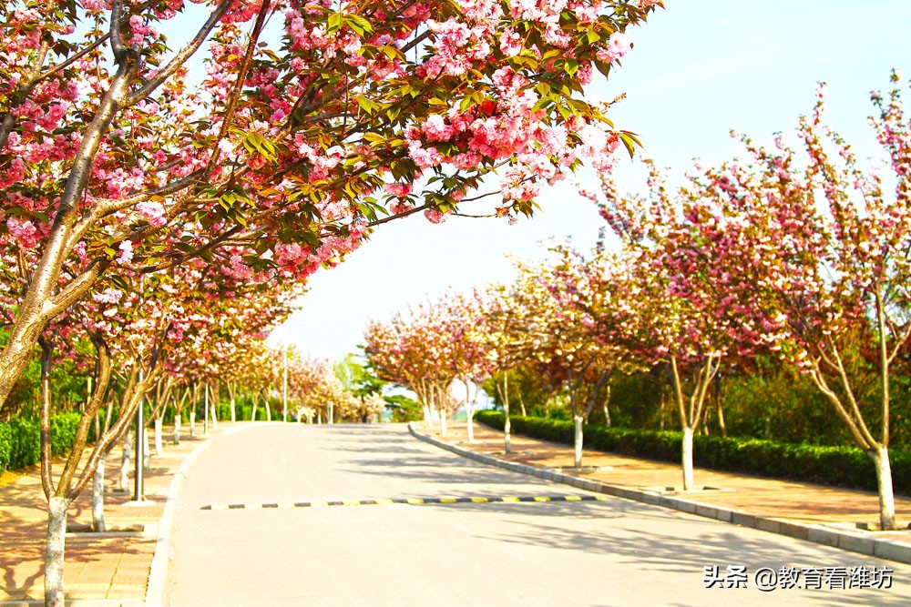 「教育看潍坊」山东工业技师学院