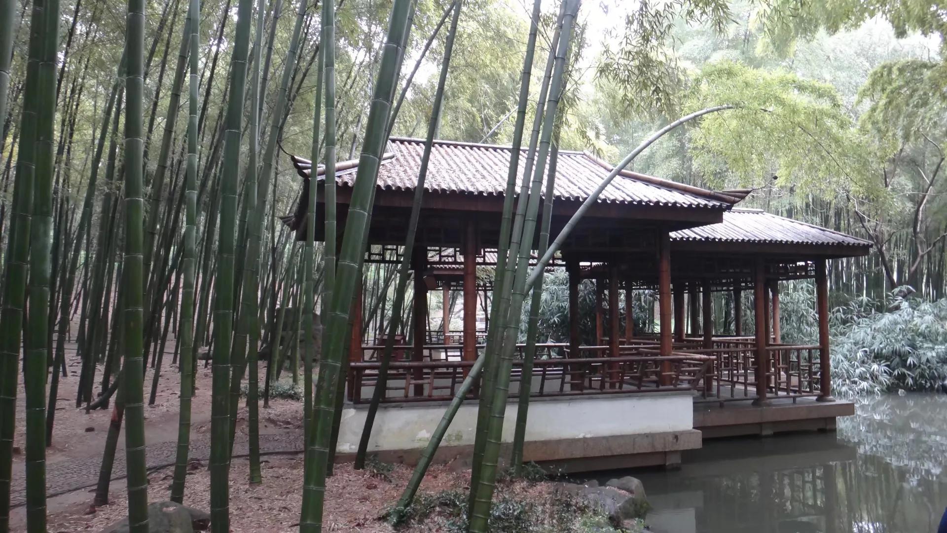 苏州的山之虎丘山