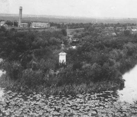 南开大学录取通知书送两颗莲子，是因为校内有一湖与一士