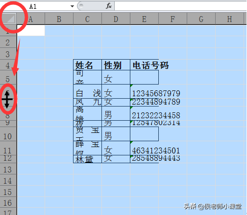 办公软件操作技巧012：如何调整excel表格的行高与列宽