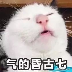 2019-2020年重庆中小学校历出炉！今年寒假的放假时间是......