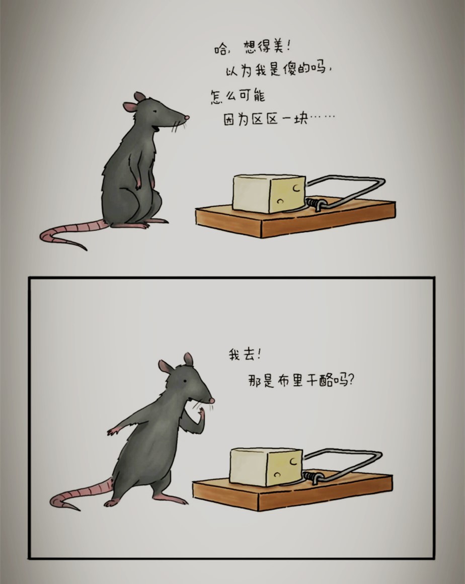 《你今天真好看》丨让大象、兔子、乌龟、蛇治愈你的不开心