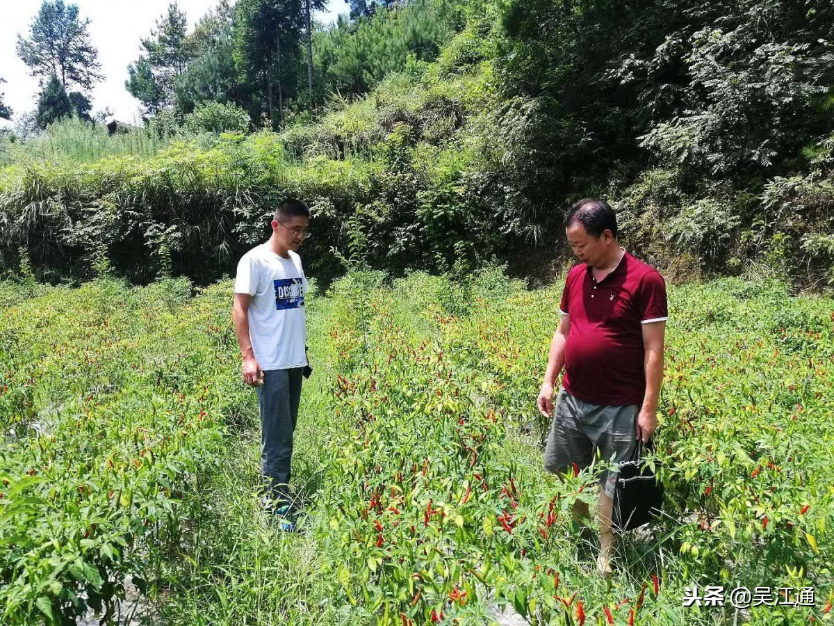 萧县拍拍速递最新招聘（千里相望）