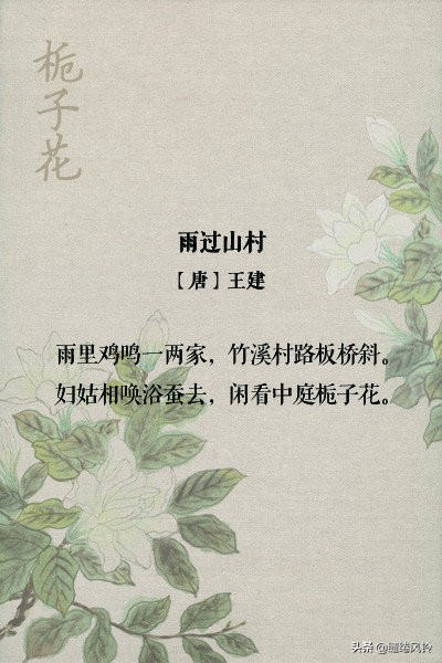 古诗词中的栀子花：在荫浓夏日之中，感受一份花之幽香！