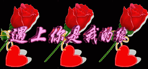 你是我今生最美的红颜，男人拥有红颜知已，心里开出一朵花来