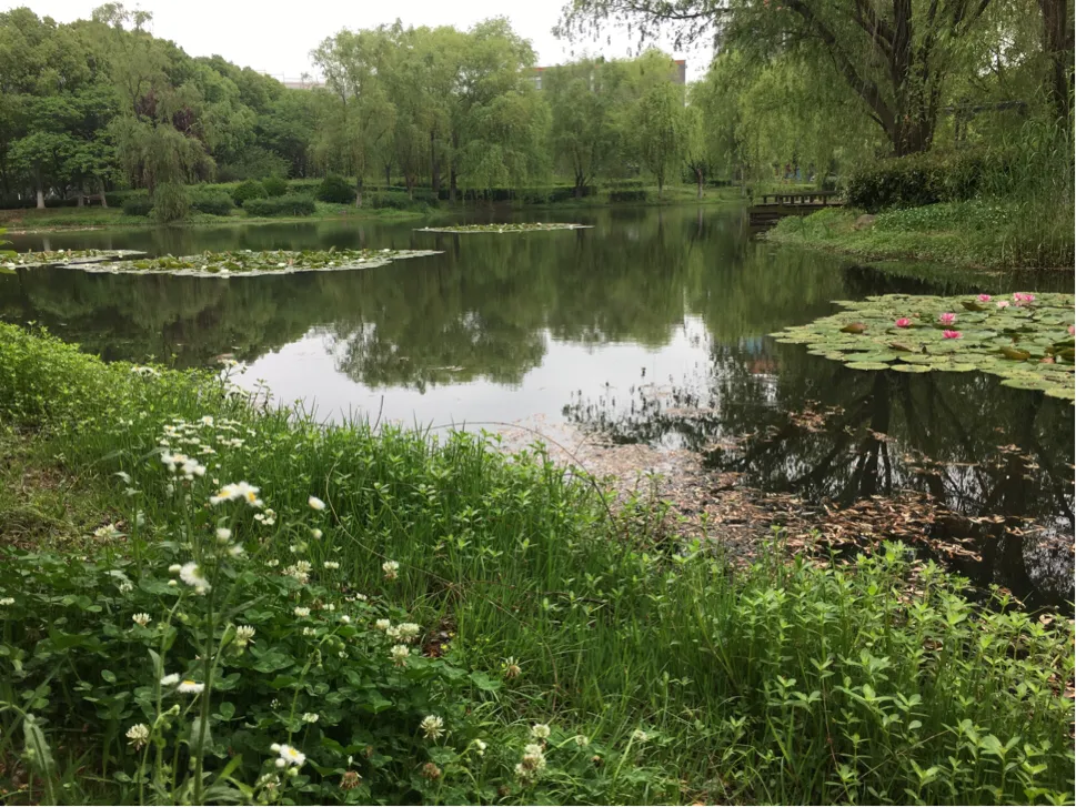 颜值这么高，是哪所高校呢？苏州大学独墅湖校区正在越变越美