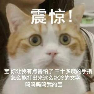 爱吐槽的波比