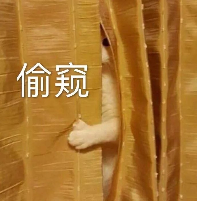 猫咪表情包合集｜我就是馋你的身子