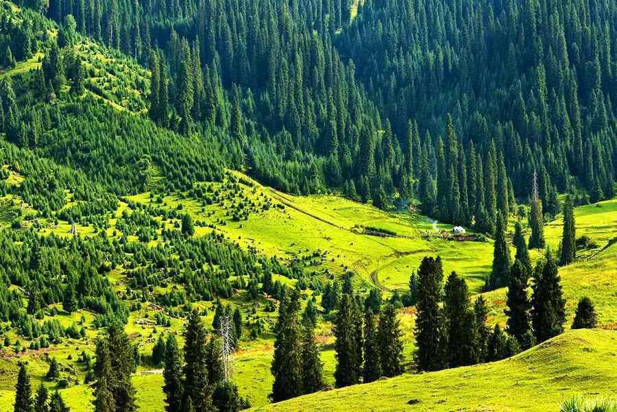 库尔德宁.山居趣记