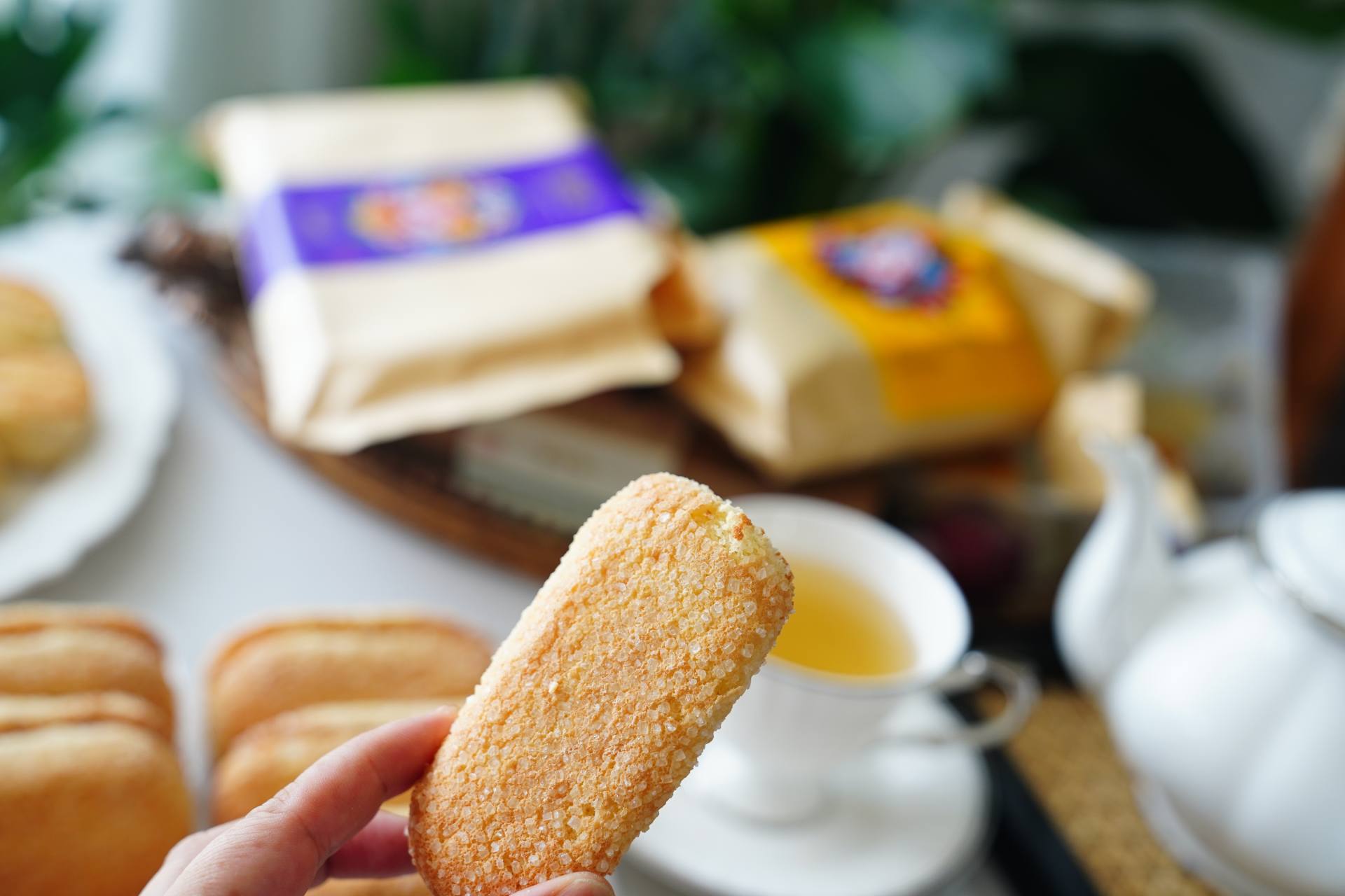 糕点吃到顶，告诉你东北老鼎丰哪种糕点最好吃