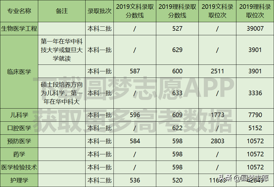 重庆医科大学是985 211大学吗 重庆市的理科录取分数线为598分-第2张图片-专升本网