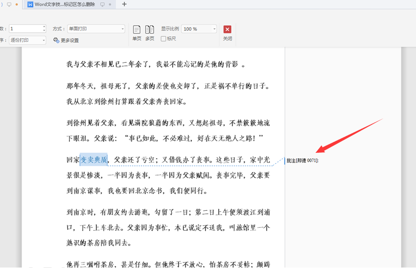 Word文档标记区怎么删除(word标记区怎么去掉)