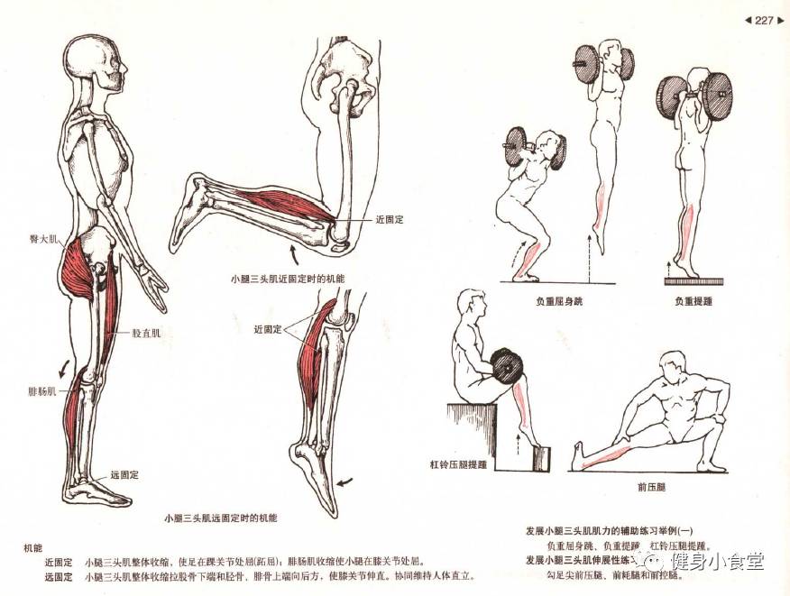 适合新手的入门书籍推荐（施瓦辛格健身全书）