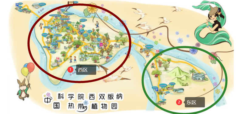 西双版纳8天9晚2600元，中科院热带植物园最详细攻略看这一篇就够