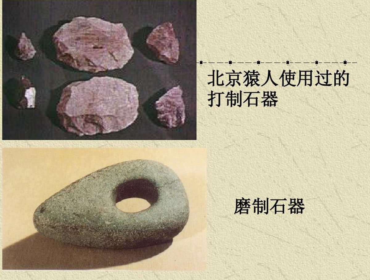 猿人图片(50万年前的秘密,北京猿人没混到食物链顶,却成了蚕食同类的