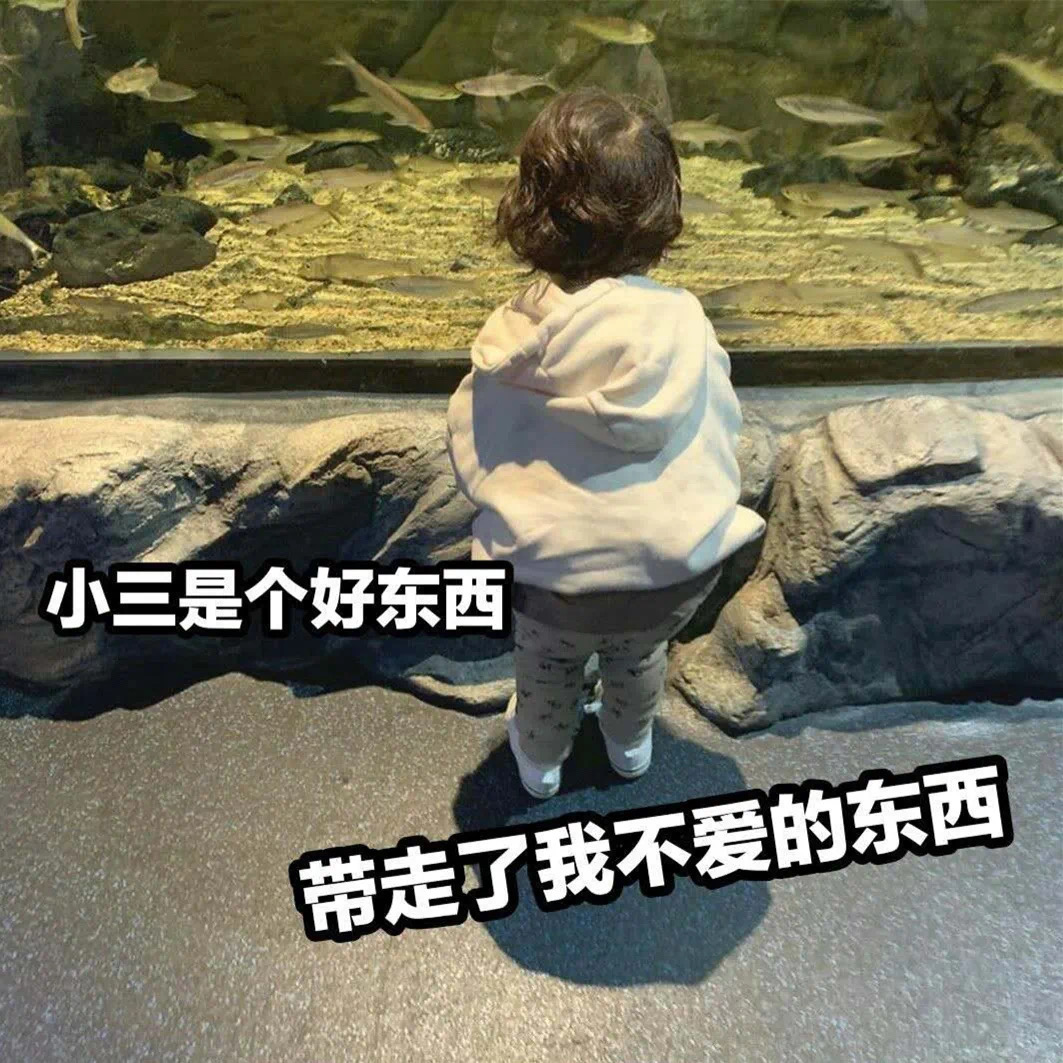 表情包：小三是个好东西，带走了我不爱的东西