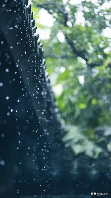 优秀习作--雨中即景