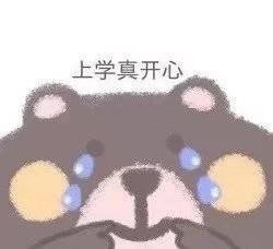 斗图表情包合集｜你算什么东西
