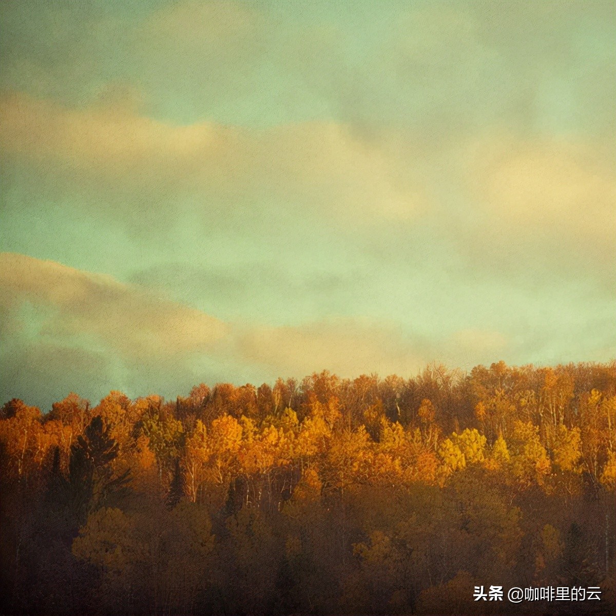 春天的故事，夏天的絮语，我们皆在十月的成熟静美里读懂