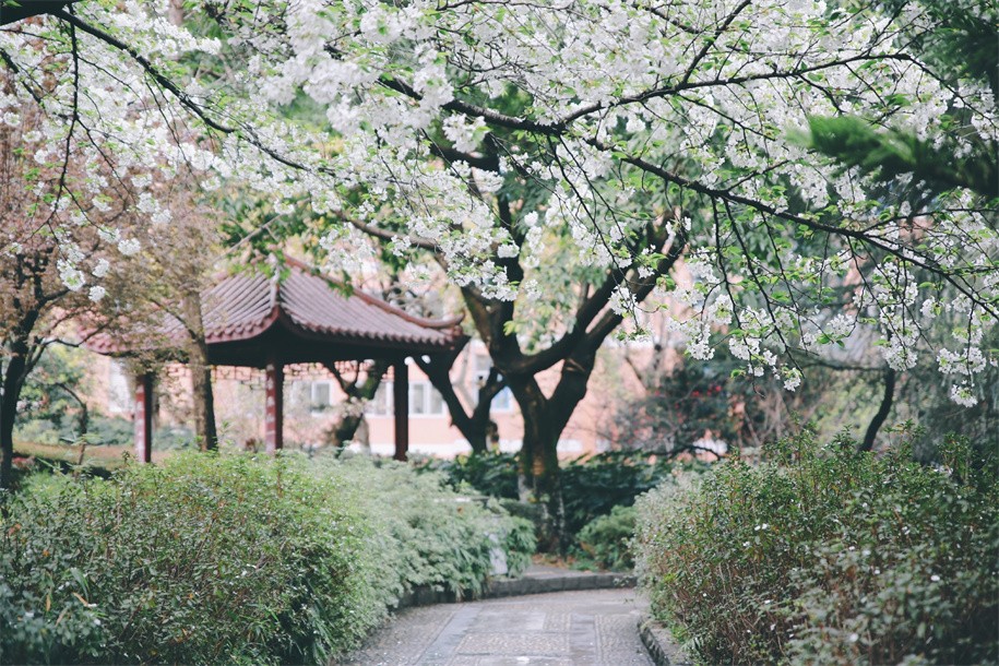 录取通知书寄出请查收！四川师范大学2021年艺术类录取分数线