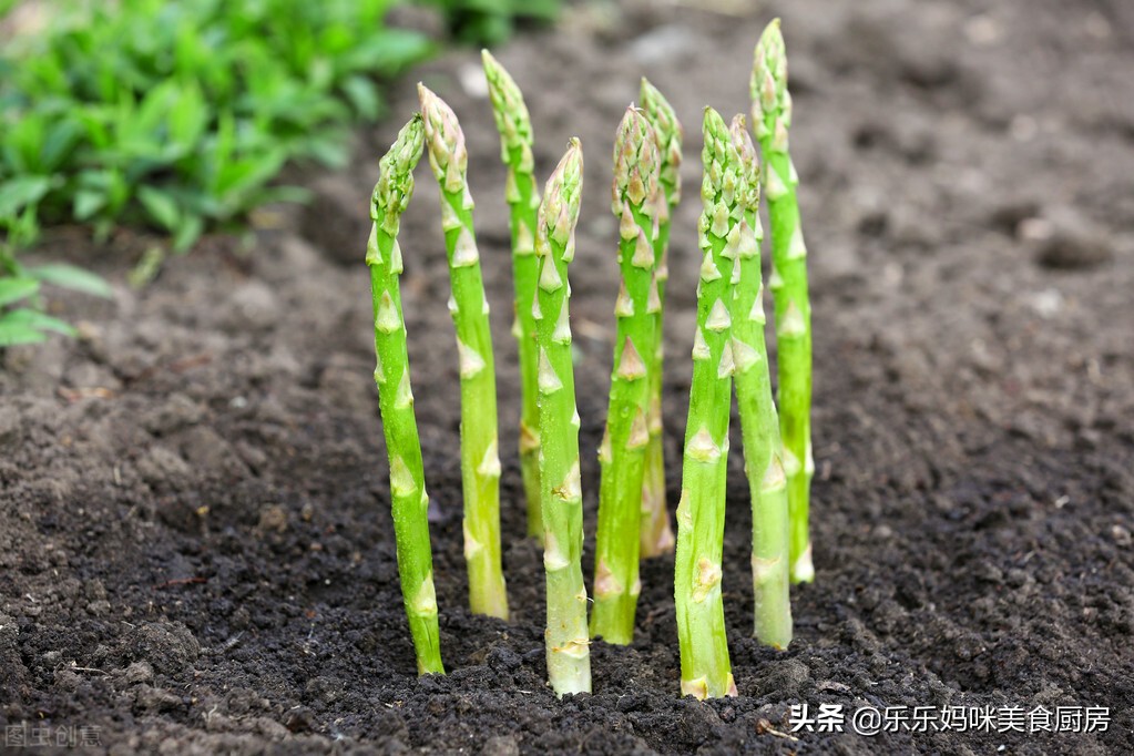 减肥期控糖很重要，6种低糖蔬菜要多吃，维C含量高，低脂又营养