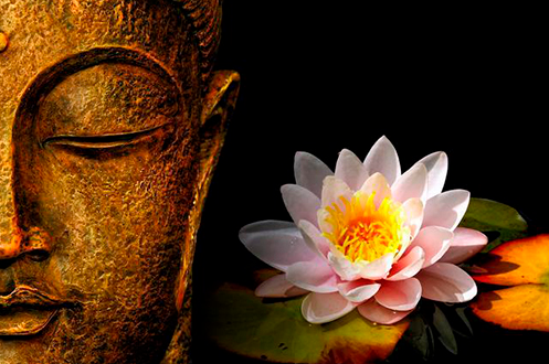 南北东西总是禅，十二首有关禅心的诗词，看古诗词里的禅意