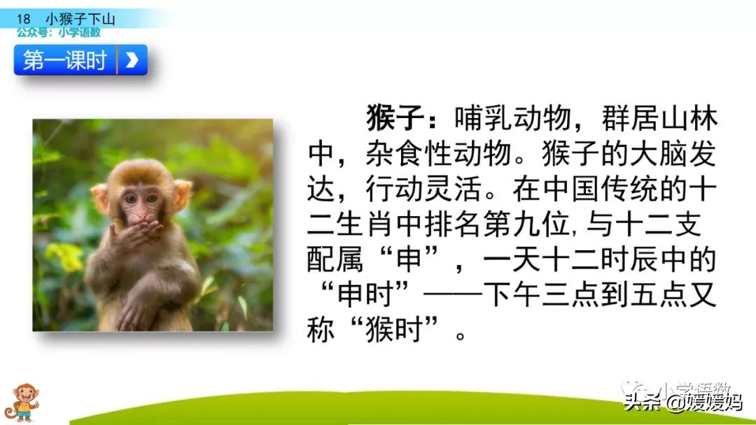 小猴子下山的故事告诉我们什么道理，小猴子下山的故事总结