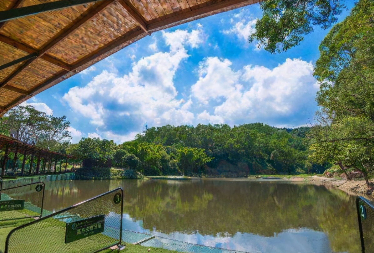 同样的大学，“分校”和“分校区”有何区别，看完你就知道了